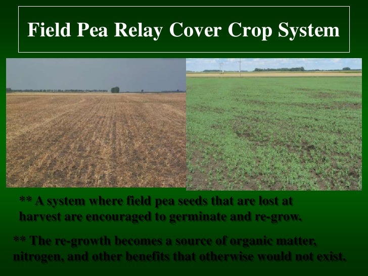 Soil Health Cover Crops Relay Cropping