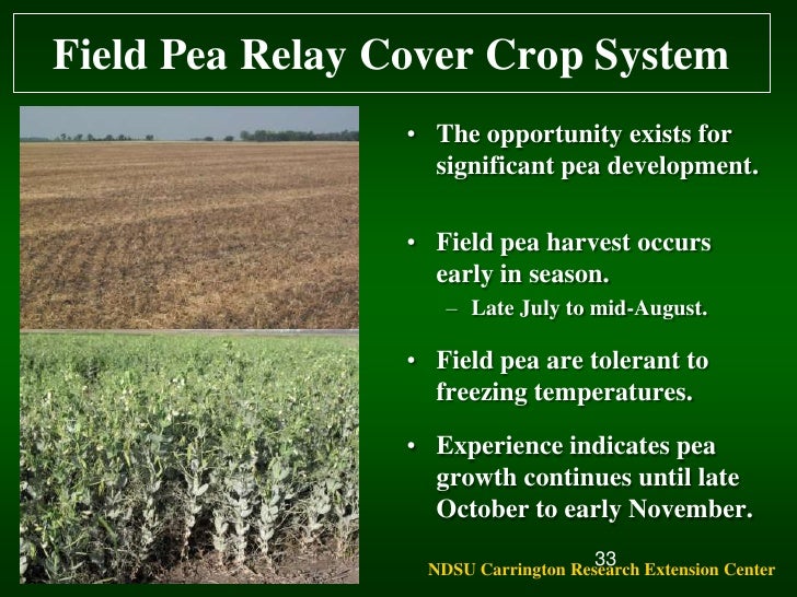 Soil Health Cover Crops Relay Cropping