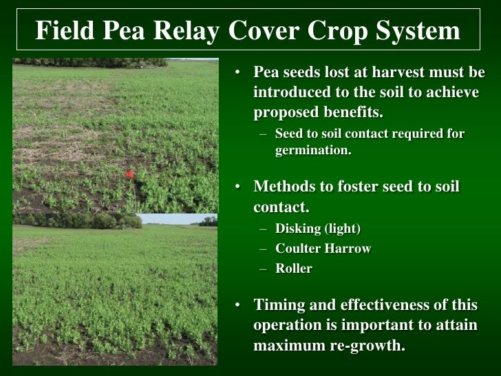Soil Health Cover Crops Relay Cropping