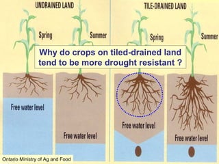 Land preparation
vs.
Soil Preparation
 