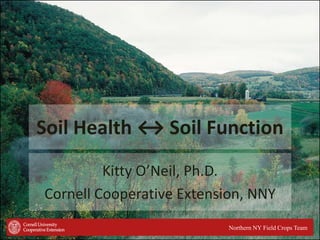 Soil Health ↔ Soil Function
Kitty O’Neil, Ph.D.
Cornell Cooperative Extension, NNY
Northern NY Field Crops Team

 