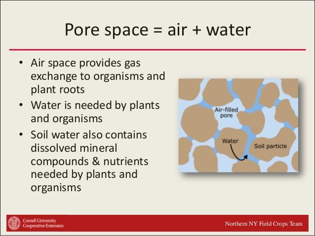 What is pore space in soil?