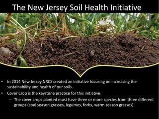Unlock the Secrets in the Soil | PPT