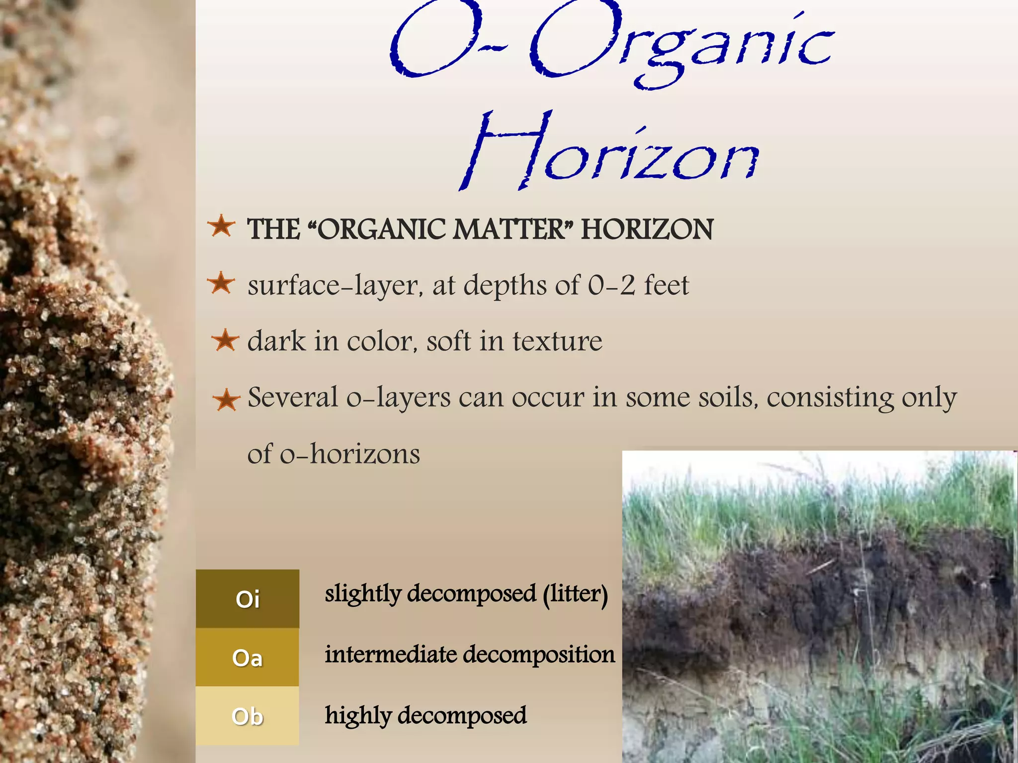 Soil horizons and soil sampling methods | PPTX