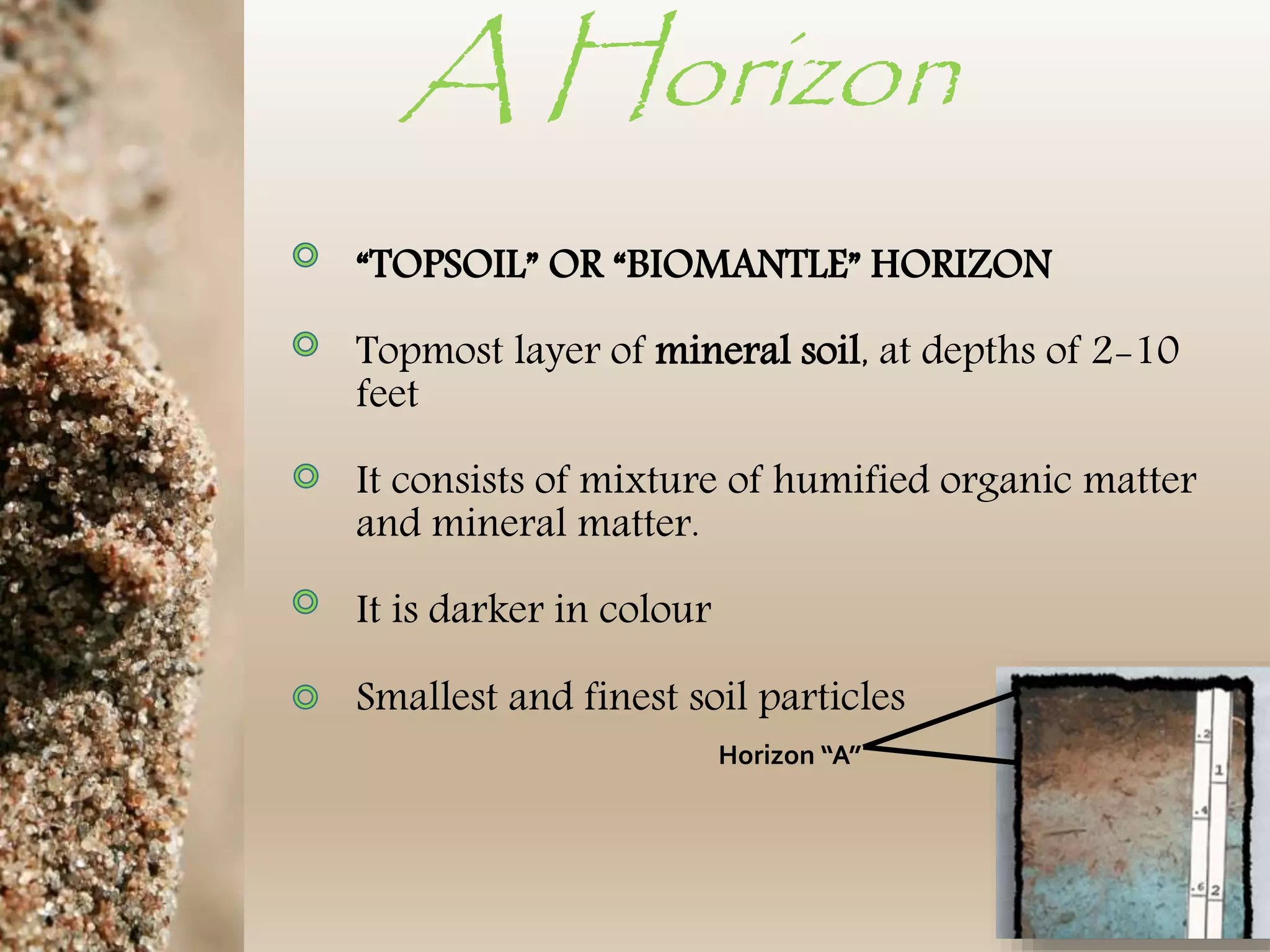 Soil horizons and soil sampling methods | PPTX