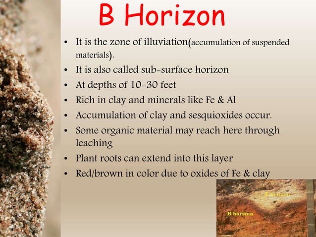 Soil horizons and soil sampling methods | PPTX | Gardening | Home & Garden