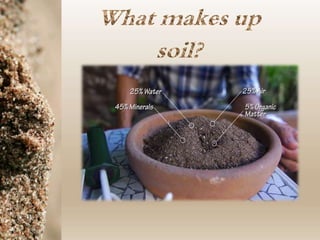 Soil horizons and soil sampling methods | PPTX