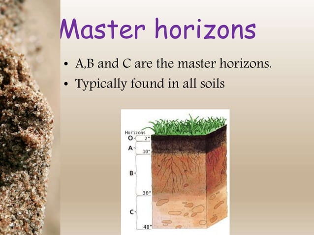 Soil horizons and soil sampling methods | PPTX | Gardening | Home & Garden