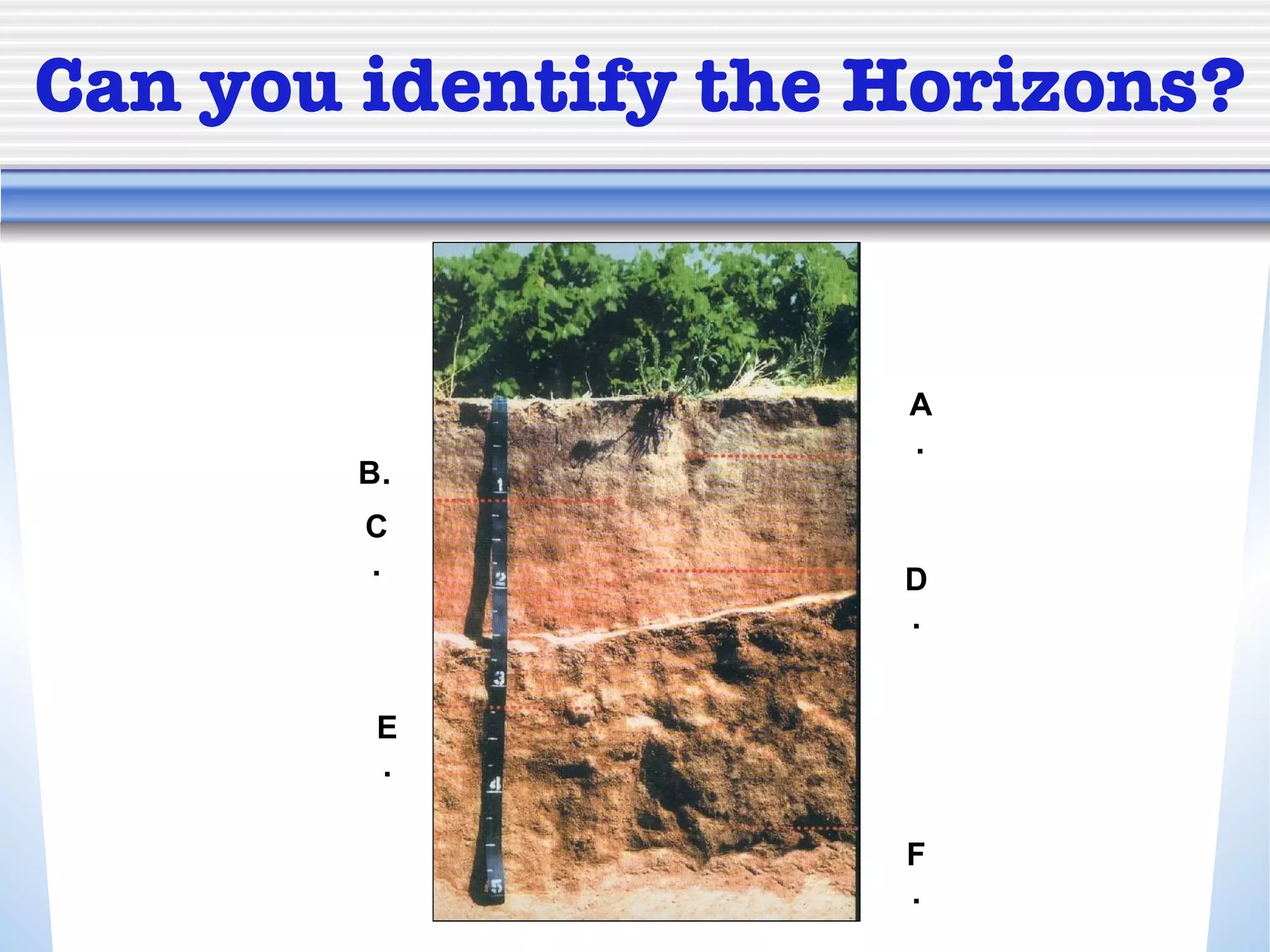 Can you identify the Horizons? A. B. C. D. E. F. 