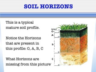 SOIL HORIZONS This is a typical  mature soil profile. Notice the Horizons  that are present in  this profile: O, A, B, C What Horizons are  missing from this picture? 