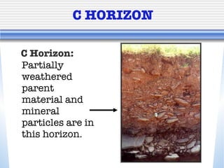 C HORIZON C Horizon:   Partially weathered parent material and mineral particles are in this horizon. 