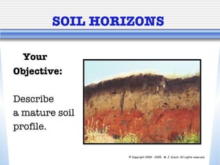SOIL HORIZONS Your  Objective: Describe  a mature soil  profile. © Copyright 2004 - 2005.  M. J. Krech. All rights reserved.  