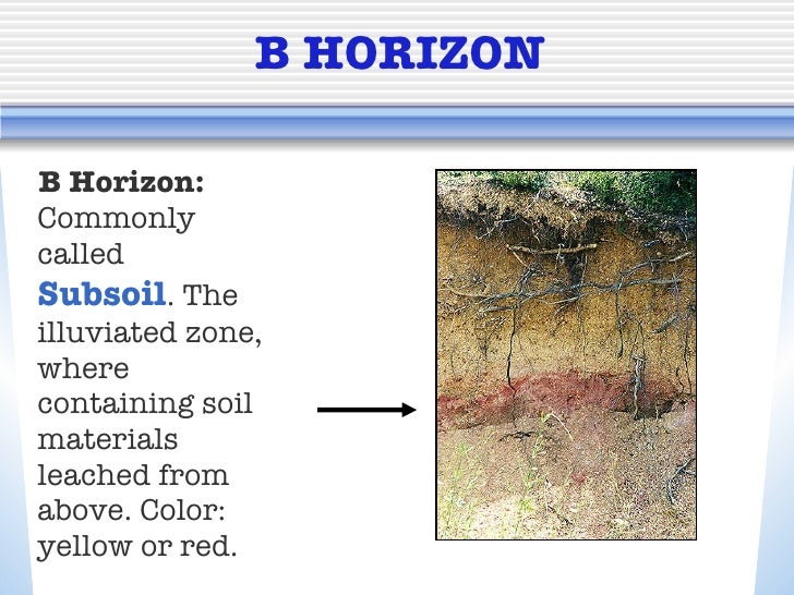 Soil horizons