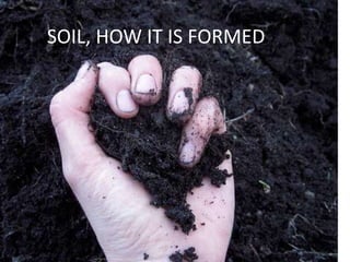 SOIL, HOW IT IS FORMED
 