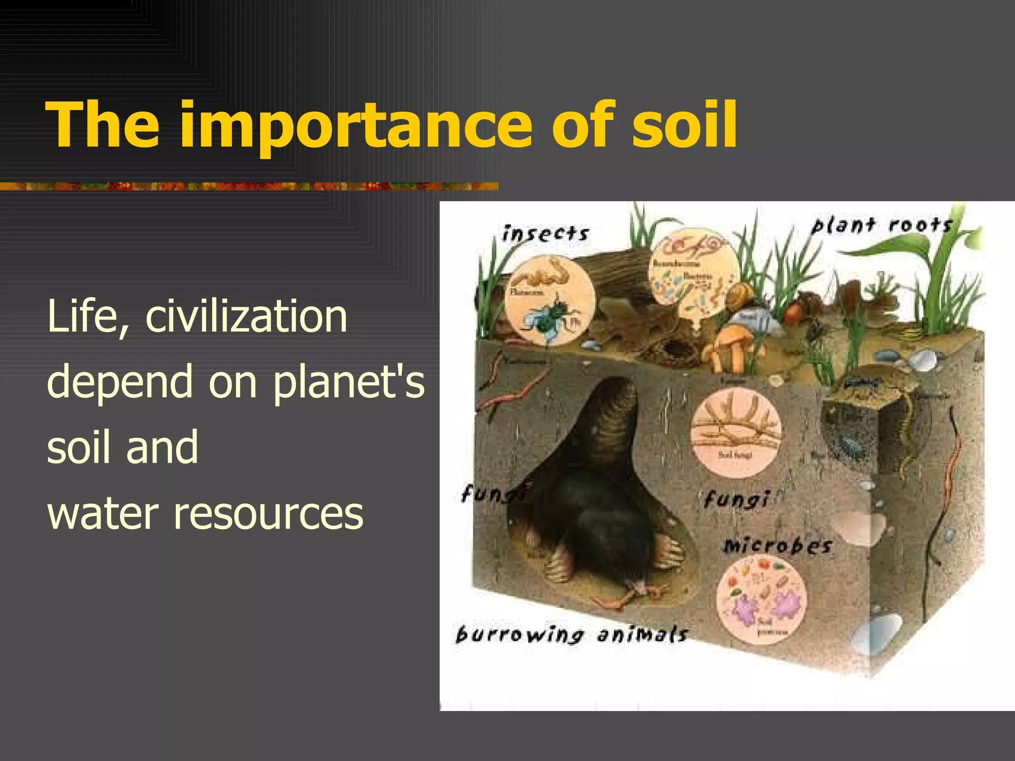 T he importance of soil Life, civilization depend on planet's soil and water resources