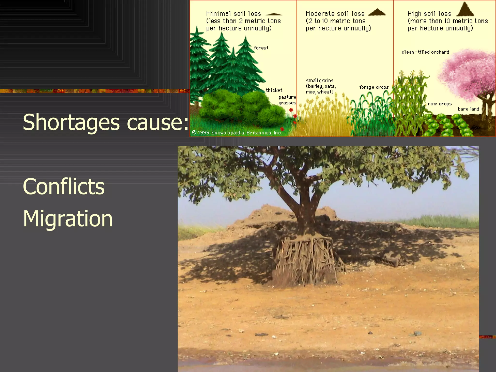 Shortages cause: Conflicts Migration