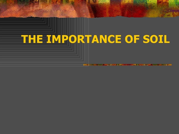 Soil, importance