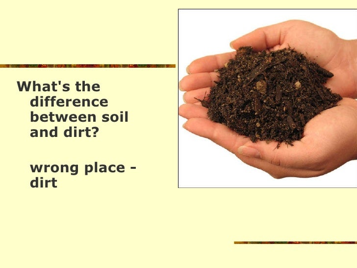 Soil, importance