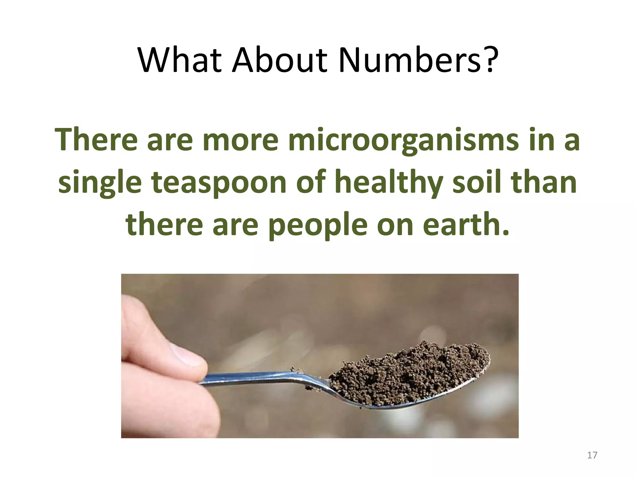 What About Numbers?
There are more microorganisms in a
single teaspoon of healthy soil than
there are people on earth.
17
 