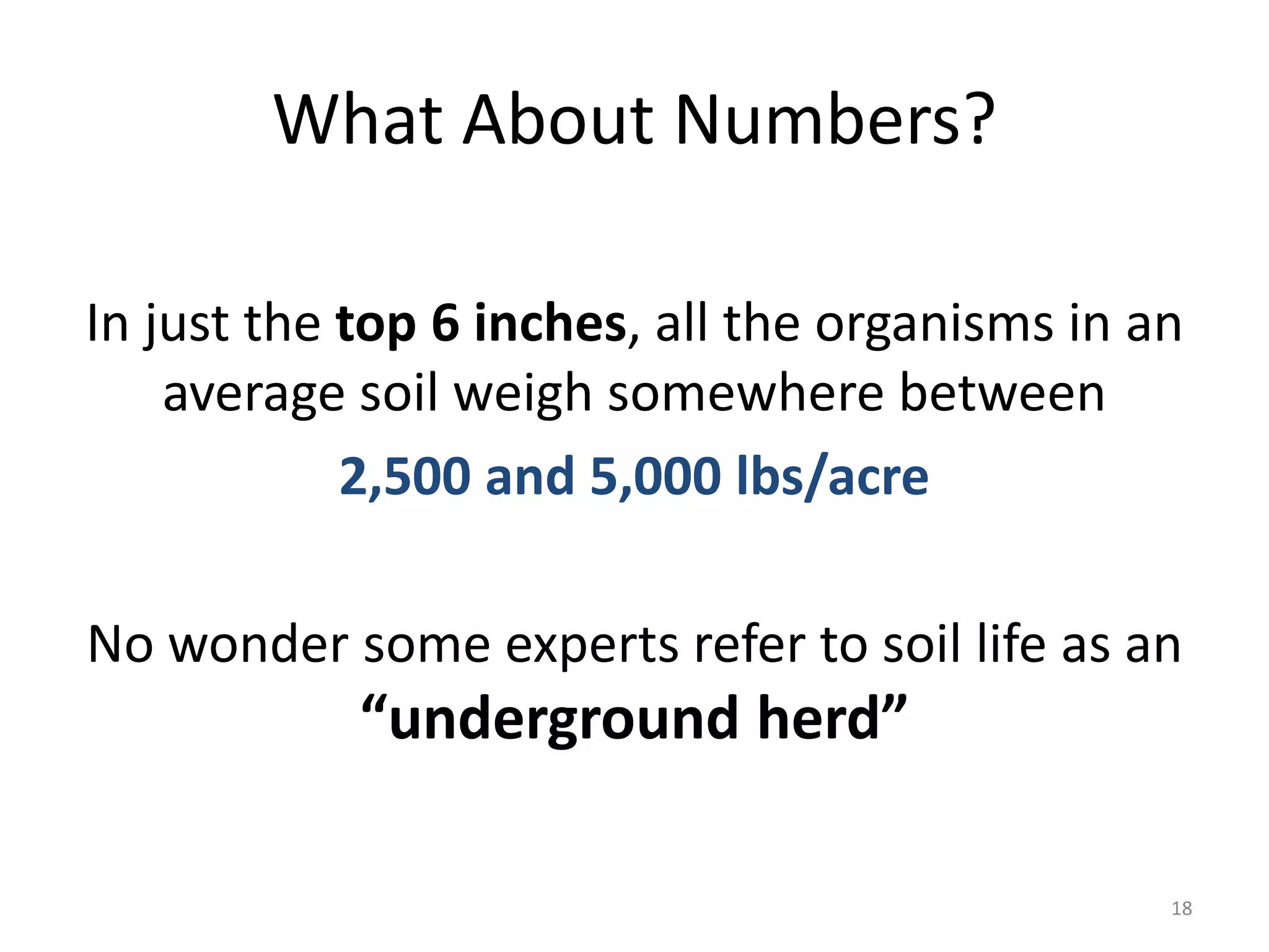 What About Numbers?
In just the top 6 inches, all the organisms in an
average soil weigh somewhere between
2,500 and 5,000 lbs/acre
No wonder some experts refer to soil life as an
“underground herd”
18
 