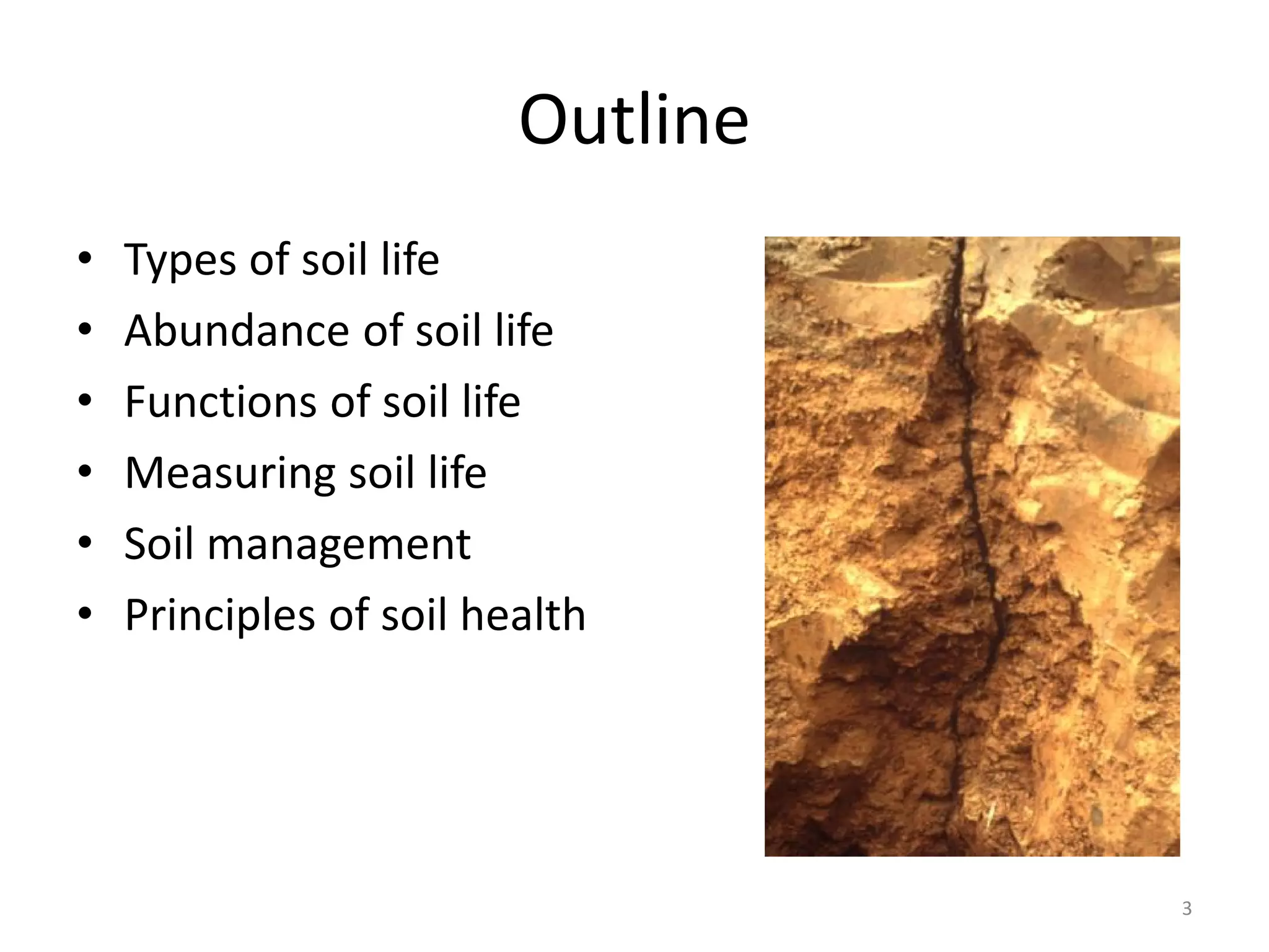 Outline
• Types of soil life
• Abundance of soil life
• Functions of soil life
• Measuring soil life
• Soil management
• Principles of soil health
3
 