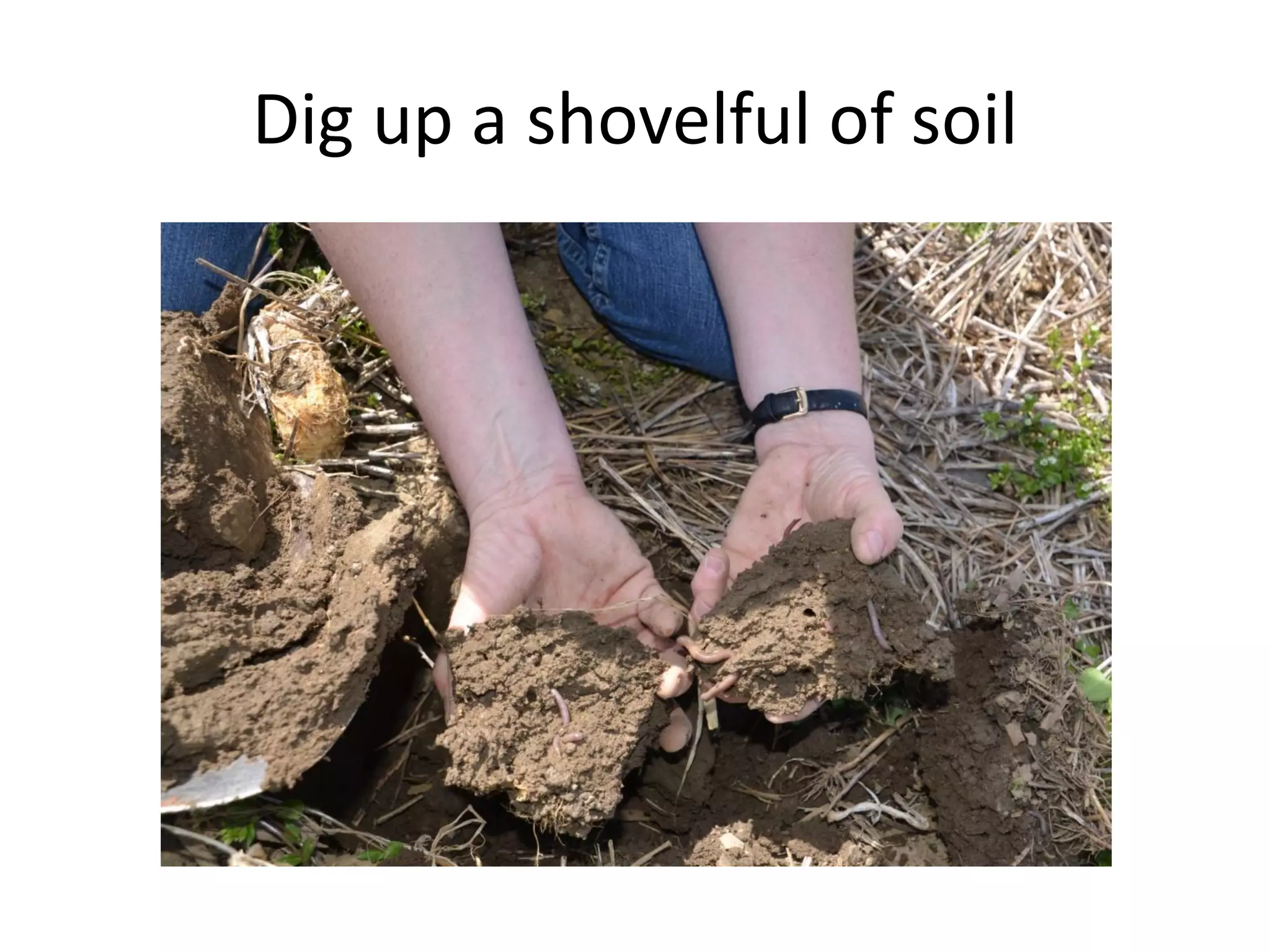 Dig up a shovelful of soil
 