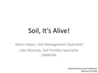 Soil, It’s Alive!
Adam Hayes, Soil Management Specialist
Jake Munroe, Soil Fertility Specialist
OMAFRA
Eastern Ontario Crop Conference
February 18, 2016
 