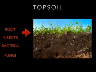 Soil layers | PDF