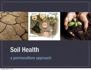 Soil Health
a permaculture approach
Thursday, March 17, 2011

 
