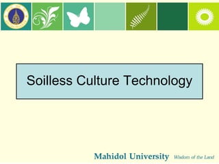 Soilless Culture Technology
 