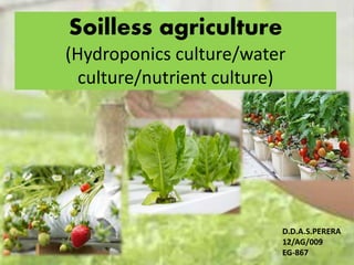 Soilless agriculture
(Hydroponics culture/water
culture/nutrient culture)
1
D.D.A.S.PERERA
12/AG/009
EG-867
 