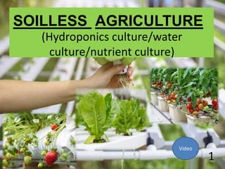 SOILLESS AGRICULTURE
(Hydroponics culture/water
culture/nutrient culture)
1
Video
 