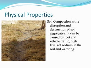 Physical Properties
                Soil Compaction is the
                  disruption and
                  destruction of soil
                  aggregates. It can be
                  caused by foot and
                  vehicle traffic, high
                  levels of sodium in the
                  soil and watering.
 