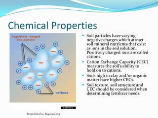 Chemical Properties
                                  Soil particles have varying
                                   negative charges which attract
                                   soil mineral nutrients that exist
                                   as ions in the soil solution.
                                   Positively charged ions are called
                                   cations.
                                  Cation Exchange Capacity (CEC)
                                   measures the soil’s ability to
                                   hold on to cations.
                                  Soils high in clay and/or organic
                                   matter have higher CECs.
                                  Soil texture, soil structure and
                                   CEC should be considered when
                                   determining fertilizer needs.



    Bryan Kotwica, Bugwood.org
 