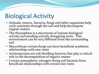 Biological Activity
 Animals, insects, bacteria, fungi and other organisms help
    cycle nutrients through the soil and help decompose
    organic matter.
   The rhizosphere is a microzone of intense biological
    activity surrounding actively elongating roots. This
    environment can be very different from the surrounding
    soil.
   Mycorrhizae-certain fungi can form beneficial symbiotic
    relationships with tree roots
   Actinomycetes are soil-dwelling bacteria that play a critical
    role in the decomposition of organic matter
   Certain atmospheric nitrogen-fixing soil bacteria form
    beneficial relationships with certain tree roots
 