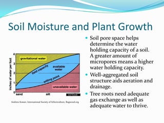 Soil Moisture and Plant Growth
                                                                      Soil pore space helps
                                                                       determine the water
                                                                       holding capacity of a soil.
                                                                       A greater amount of
                                                                       micropores means a higher
                                                                       water holding capacity.
                                                                      Well-aggregated soil
                                                                       structure aids aeration and
                                                                       drainage.
                                                                      Tree roots need adequate
Andrew Koeser, International Society of Arboriculture, Bugwood.org
                                                                       gas exchange as well as
                                                                       adequate water to thrive.
 