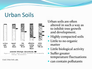 Urban Soils
                           Urban soils are often
                             altered in such a way as
                             to inhibit tree growth
                             and development.
                            Highly compacted soils
                            Little to no organic
                             matter
                            Little biological activity
                            Suffer greater
                             temperature fluctuations
Craul, Urban Soils, 1985
                            can contain pollutants
 
