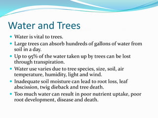 Water and Trees
 Water is vital to trees.
 Large trees can absorb hundreds of gallons of water from
    soil in a day.
   Up to 95% of the water taken up by trees can be lost
    through transpiration.
   Water use varies due to tree species, size, soil, air
    temperature, humidity, light and wind.
   Inadequate soil moisture can lead to root loss, leaf
    abscission, twig dieback and tree death.
   Too much water can result in poor nutrient uptake, poor
    root development, disease and death.
 