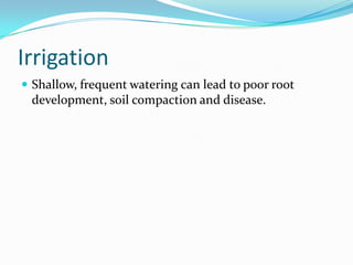 Irrigation
 Shallow, frequent watering can lead to poor root
 development, soil compaction and disease.
 