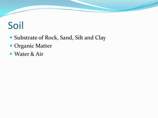 Soil
 Substrate of Rock, Sand, Silt and Clay
 Organic Matter
 Water & Air
 