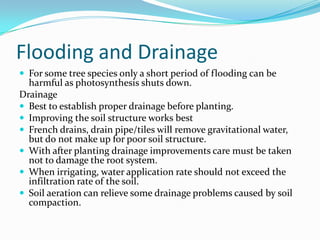 Flooding and Drainage
 For some tree species only a short period of flooding can be
  harmful as photosynthesis shuts down.
Drainage
 Best to establish proper drainage before planting.
 Improving the soil structure works best
 French drains, drain pipe/tiles will remove gravitational water,
  but do not make up for poor soil structure.
 With after planting drainage improvements care must be taken
  not to damage the root system.
 When irrigating, water application rate should not exceed the
  infiltration rate of the soil.
 Soil aeration can relieve some drainage problems caused by soil
  compaction.
 