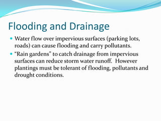 Flooding and Drainage
 Water flow over impervious surfaces (parking lots,
  roads) can cause flooding and carry pollutants.
 “Rain gardens” to catch drainage from impervious
  surfaces can reduce storm water runoff. However
  plantings must be tolerant of flooding, pollutants and
  drought conditions.
 