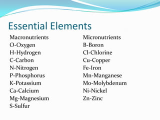 Essential Elements
Macronutrients   Micronutrients
O-Oxygen         B-Boron
H-Hydrogen       Cl-Chlorine
C-Carbon         Cu-Copper
N-Nitrogen       Fe-Iron
P-Phosphorus     Mn-Manganese
K-Potassium      Mo-Molybdenum
Ca-Calcium       Ni-Nickel
Mg-Magnesium     Zn-Zinc
S-Sulfur
 