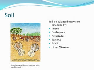 Soil
                                           Soil is a balanced ecosystem
                                             inhabited by:
                                            Insects
                                            Earthworms
                                            Nematodes
                                            Bacteria
                                            Fungi
                                            Other Microbes




  http://ecomerge.blogspot.com/2010_06_0
  1_archive.html
 