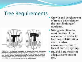 Tree Requirements
                     Growth and development
                      of trees is dependant on
                      the most limiting of
                      nutrients.
                     Nitrogen is often the
                      most limiting of the
                      macronutrients due to
                      leaching, volatilization
                      and, in urban
                      environments, due to
                      lack of nutrient cycling.
                     P,K and S are mostly in
                      adequate amounts in
                      soil.
 