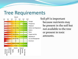 Tree Requirements
              Soil pH is important
                because nutrients may
                be present in the soil but
                not available to the tree
                or present in toxic
                amounts.
 