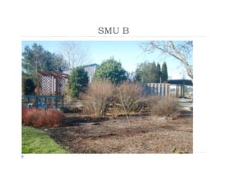 Soil Management Project