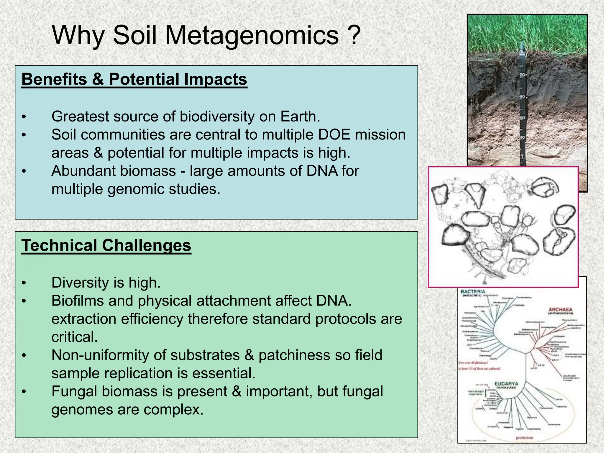Soil Metagenomics/Community Metagenomics.ppt