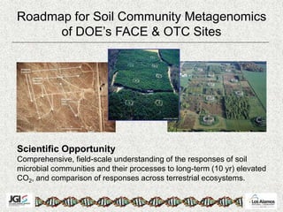 Roadmap for Soil Community Metagenomics
of DOE’s FACE & OTC Sites
Scientific Opportunity
Comprehensive, field-scale understanding of the responses of soil
microbial communities and their processes to long-term (10 yr) elevated
CO2, and comparison of responses across terrestrial ecosystems.
 