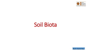 Soil Biota
By Dr. Kamini Roy
 